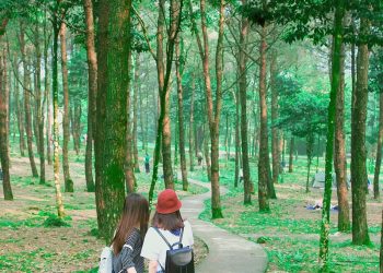 Top 5 điểm du lịch ở Ba Vì hút hồn giới trẻ