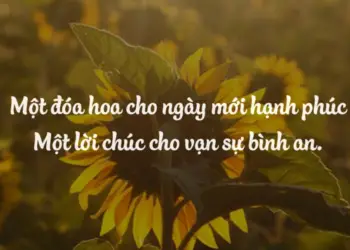 Những câu chúc bình an của Phật giáo: Mang an lạc đến cho tâm hồn