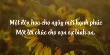 Những câu chúc bình an của Phật giáo: Mang an lạc đến cho tâm hồn
